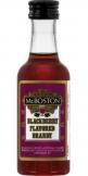 Mr.boston - Blackberry Brandy 0