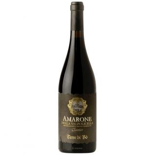 Terre Di Bo - Amarone D. Valpolicel NV